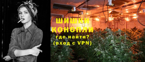 мдпв Волоколамск