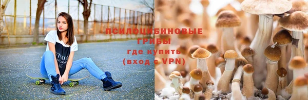молекула духа Вязьма