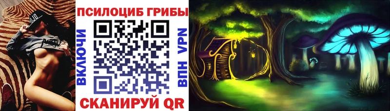 Галлюциногенные грибы Psilocybine cubensis  ОМГ ОМГ как зайти  Ростов-на-Дону 